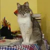 Отзыв от Полина Черная